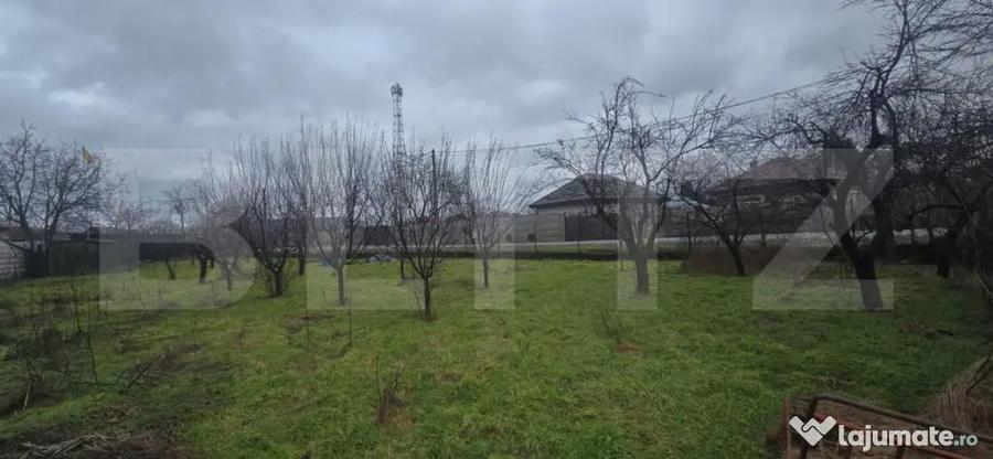 Teren intravilan 1.869 mp, front 80 metri, zona Carcea - St - 6