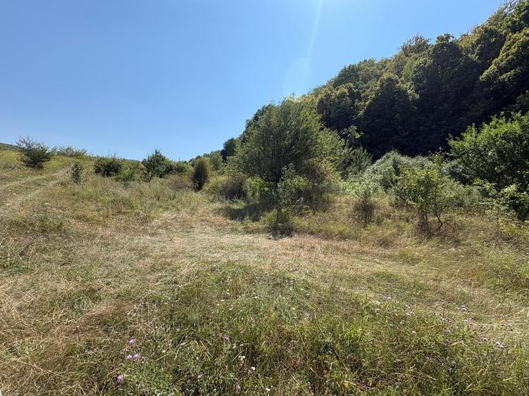 Teren agricol intravilan de 3000 mp, în Nord