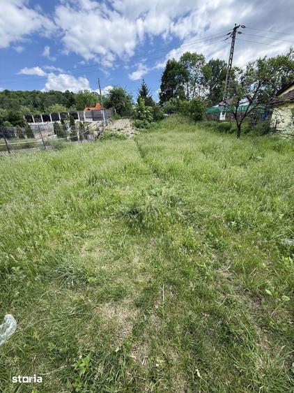Teren de 1200 mp, în Provița de Sus