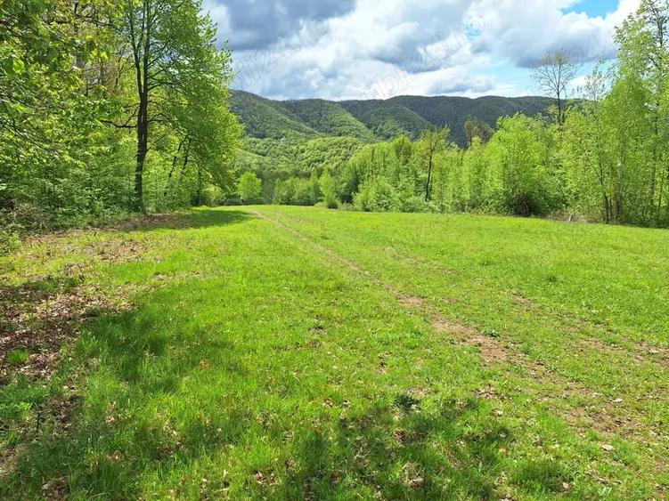 Teren de 46000 mp, în Slatina de Mureș