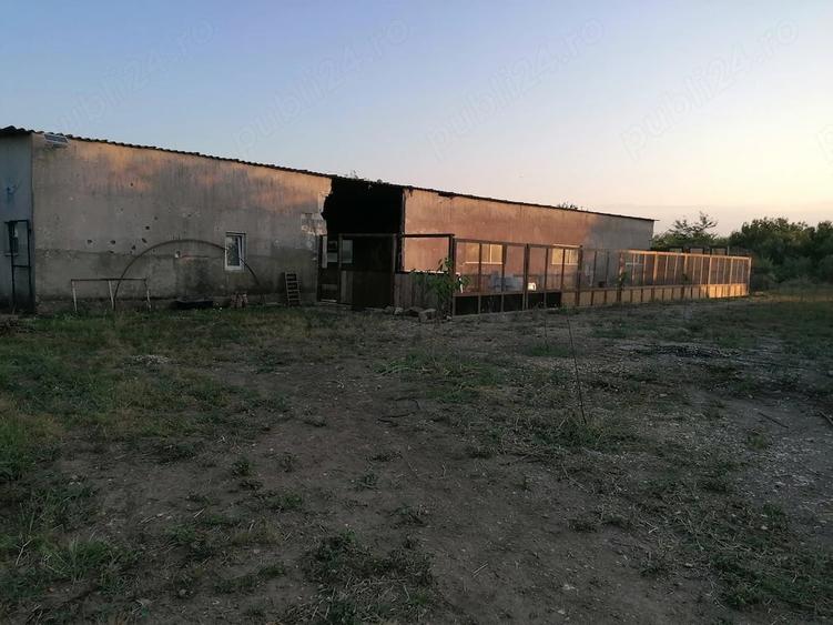 Casă cu 5 camere cu Teren 4500 Mp în Poiana