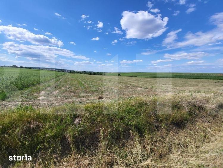 Teren de 3600 mp, în Curtești