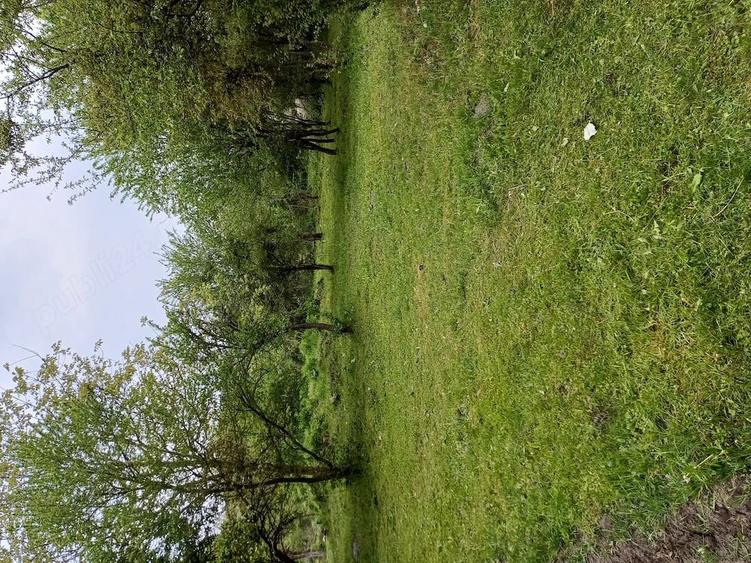 Teren de 1860 mp, în Valea Unghiului