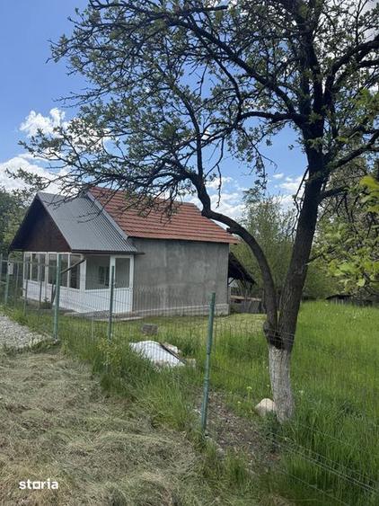 Casa si teren de vanzare, Cepari, Arges - 4