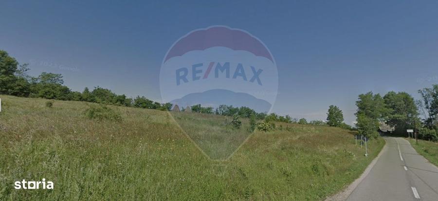 Spațiu comercial, în Mănășturu Românesc