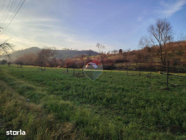 Teren de 2619 mp, în Bârsana