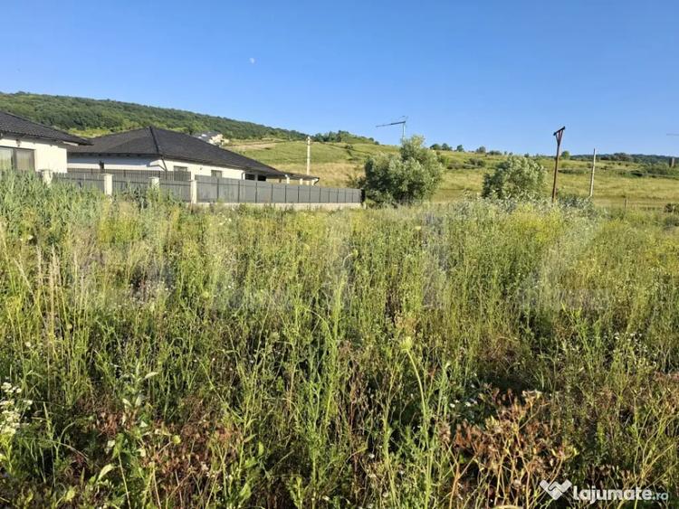 Teren intravilan, 1000 mp, zona Central - Livezeni - 1