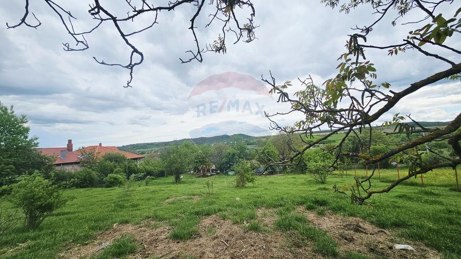 Teren Construcții intravilan de 5350 mp, în Dobreni