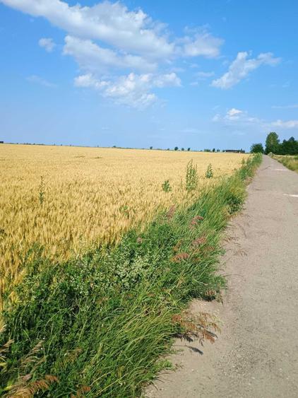 Teren de 5000 mp, în Valea Ursului