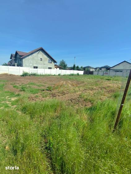 Teren de 550 mp, în Chitila