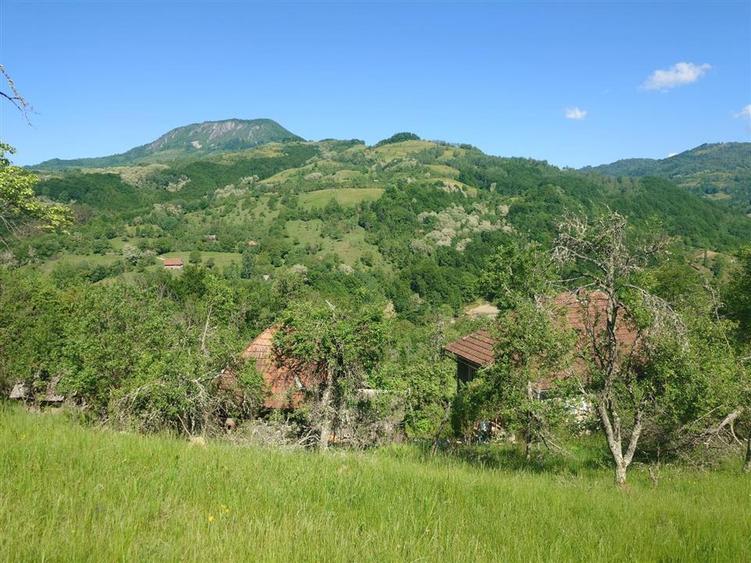 Casă individuală cu 3 camere cu Teren 34965 Mp în Blăjeni