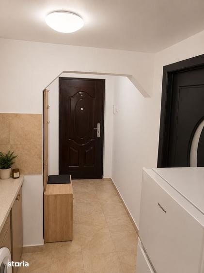 Apartament 2 camere de vanzare Pia?a Victoriei, Intrarea Doctor Felix - 8