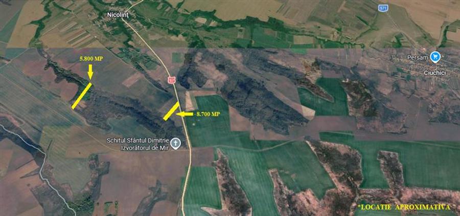 Teren agricol extravilan de 14500 mp, în Nicolinț
