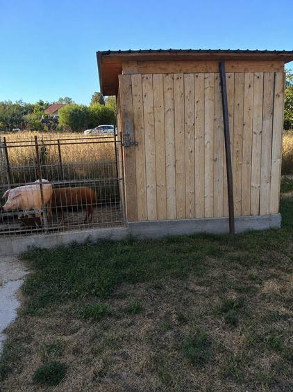 Casă cu 3 camere în Central