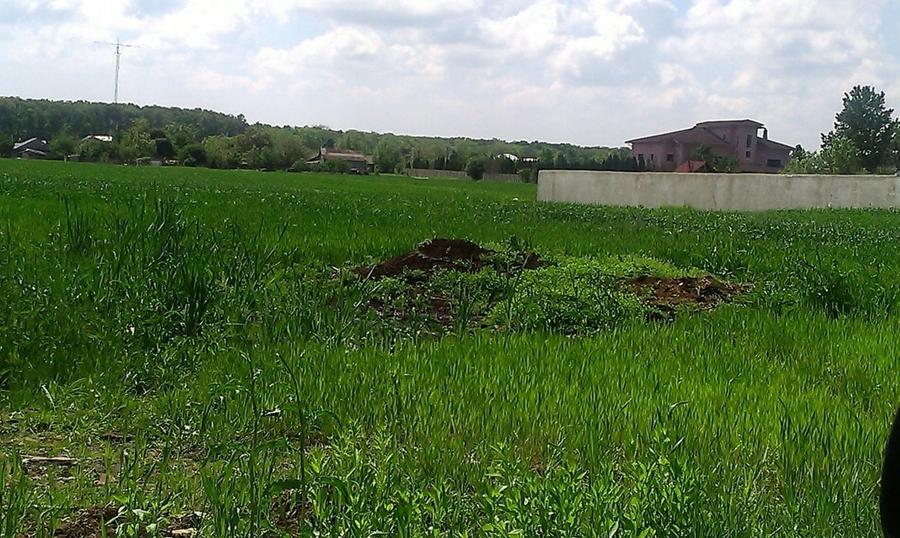Teren Construcții intravilan de 13200 mp, în Snagov