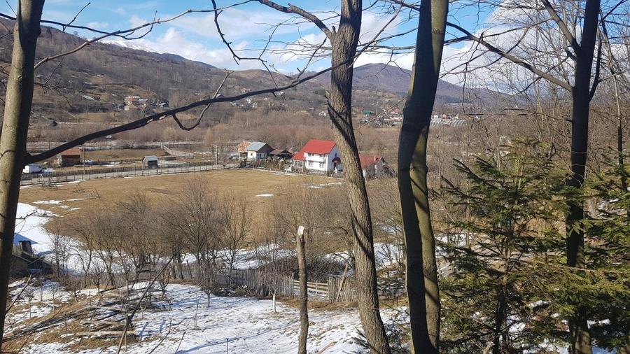 Teren Construcții intravilan de 10200 mp, în Valea Doftanei