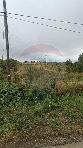 Teren Construcții intravilan de 2341 mp, în Uileacu de Munte