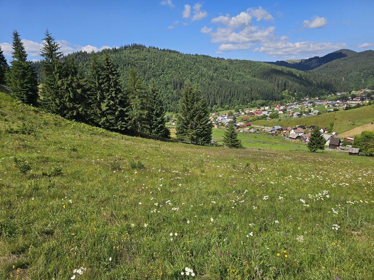 Teren extravilan de vanzare cu priveliste superba in Bucovina zona Breaza - 1