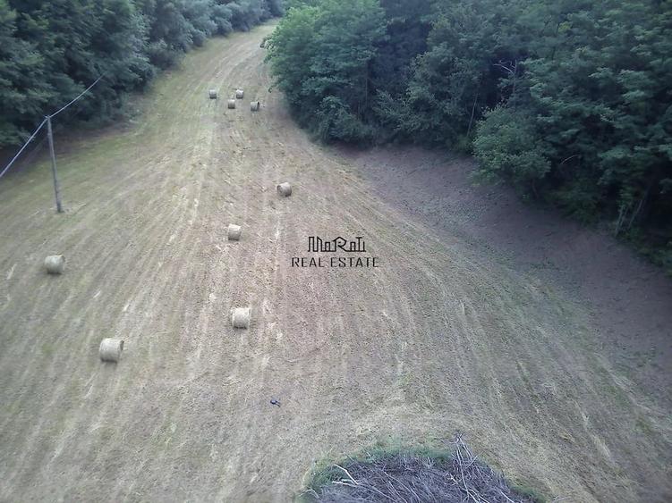 Teren de 5800 mp, în Podele