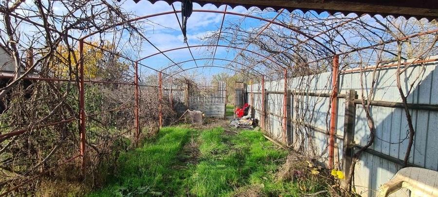 Teren la 15km de Bucuresti cu 2 case, fundatie, fosa, beci, put apa, - 2