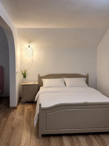Casa de inchiriat Costinesti/ 60m de plaja - 6