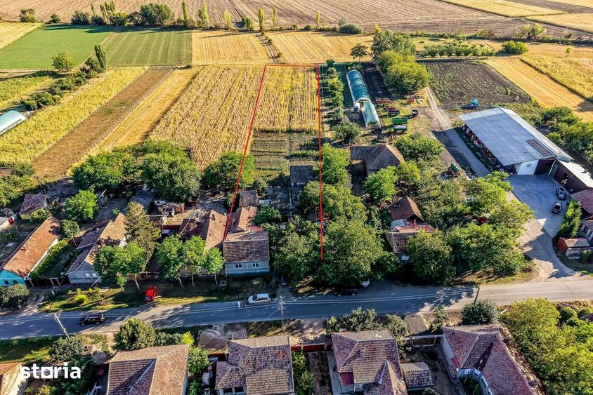 Casă cu 3 camere cu Teren 3950 Mp în Dorobanți