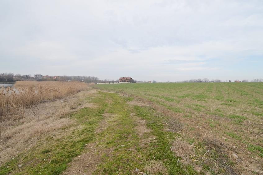 Teren Construcții intravilan de 1000 mp, în Frumușani