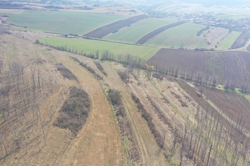 Teren agricol de 5500 mp, în Ciugud