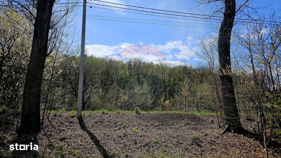 Teren de 10000 mp, în Vânători-Neamț