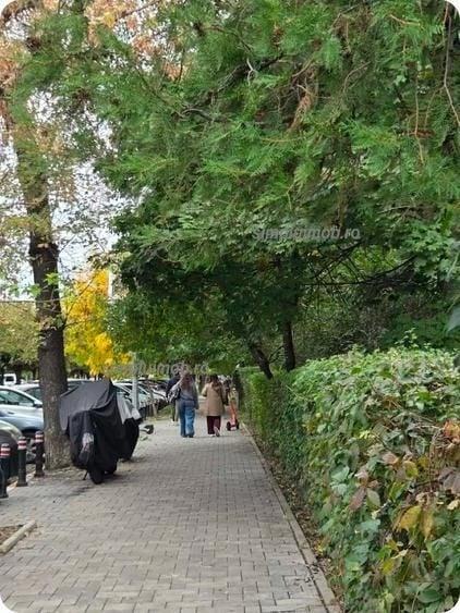 Garsonieră semidecomandată, mobilată în P-ța Muncii