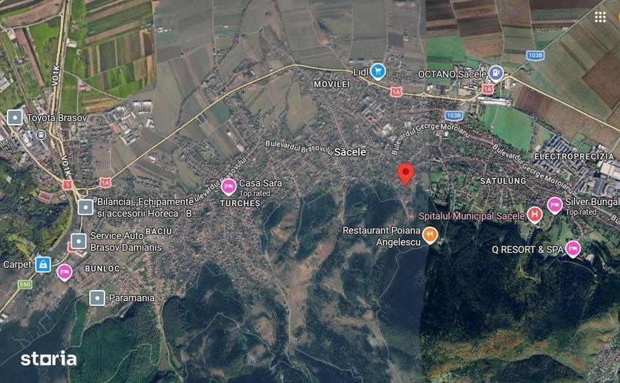 Spațiu comercial, în Poiana Angelescu