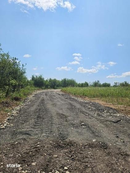 Teren de 1500 mp, în Paleu