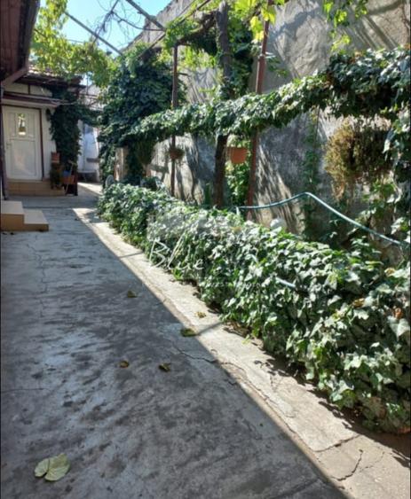 Teren Construcții intravilan de 435 mp, în Coiciu