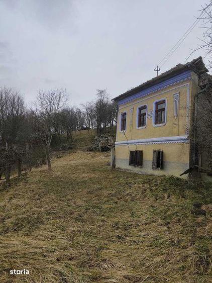 Teren de 5000 mp, în Sic