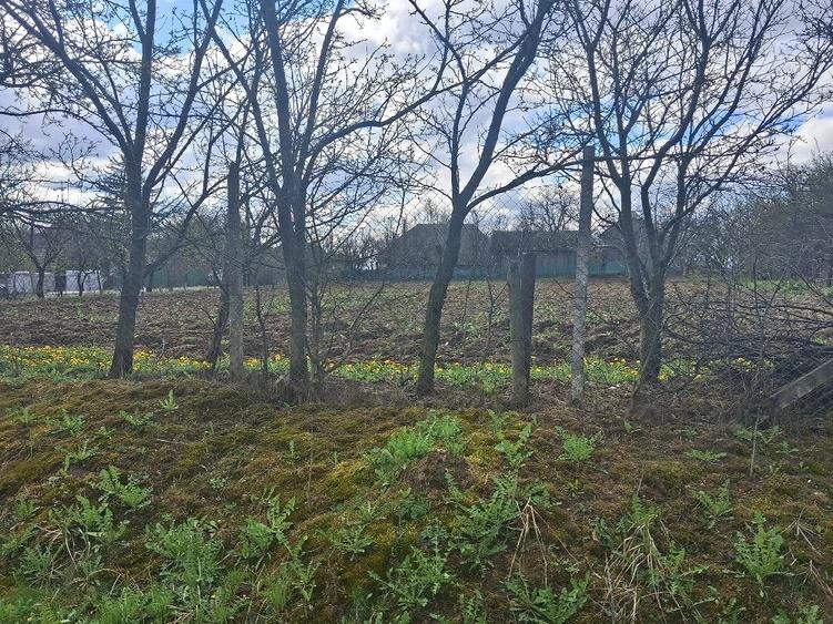 Teren de 2800 mp, în Horodnic