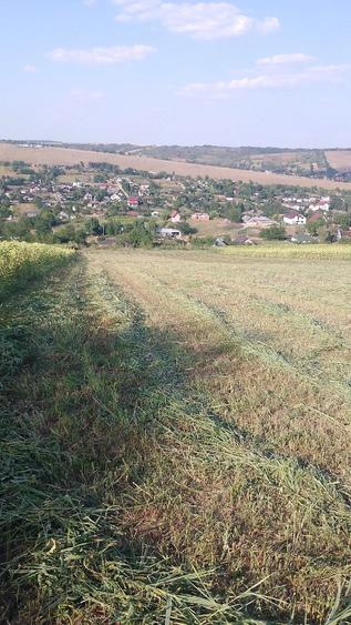 Teren de 4573 mp, în Vânători