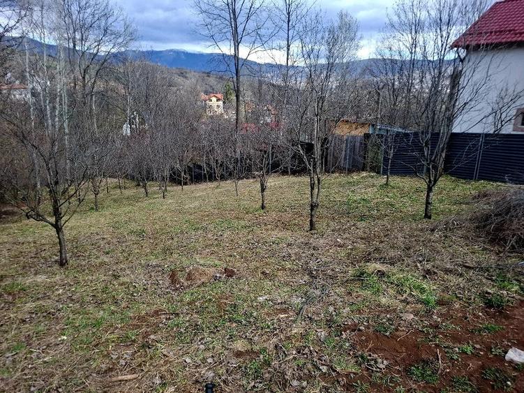 Teren de 873 mp, în Central