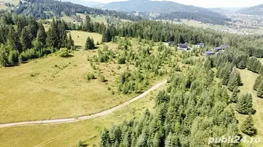Teren de 5000 mp, în Cozănești