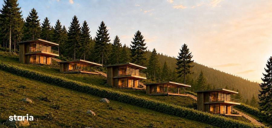Chalet ECO cu teren propriu | Priveliste Postavarul | Trei Brazi - 3