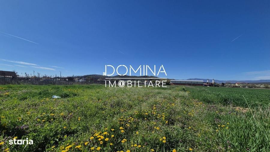 Spațiu comercial, în Tămășești