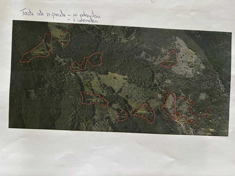 Teren de 155440 mp, în Luncani