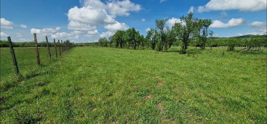 Teren de 3400 mp, în Rusu Bârgăului