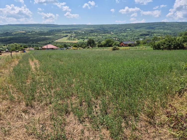 Teren de 800 mp, în Tomești