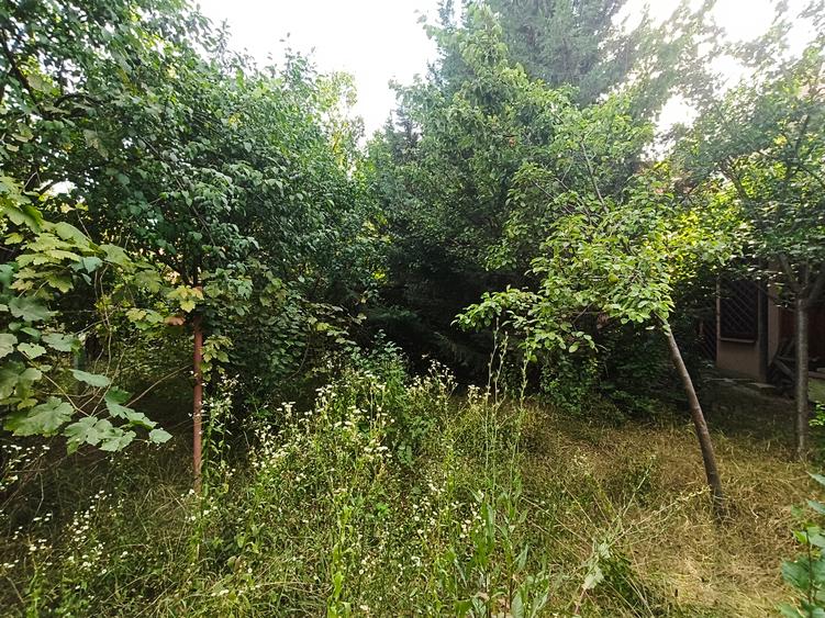 Casă individuală cu 4 camere cu Teren 580 Mp în Elisabetin