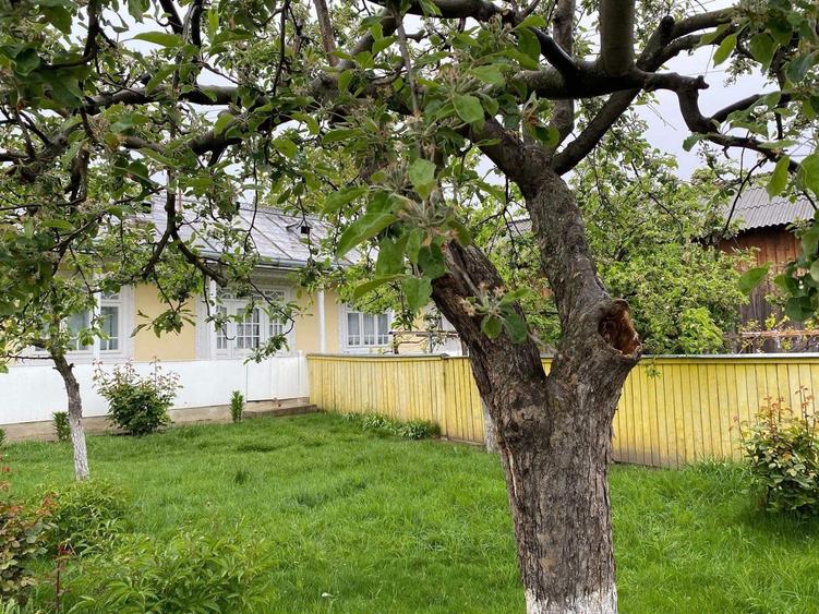 Casă individuală cu 3 camere cu Teren 2816 Mp în Central
