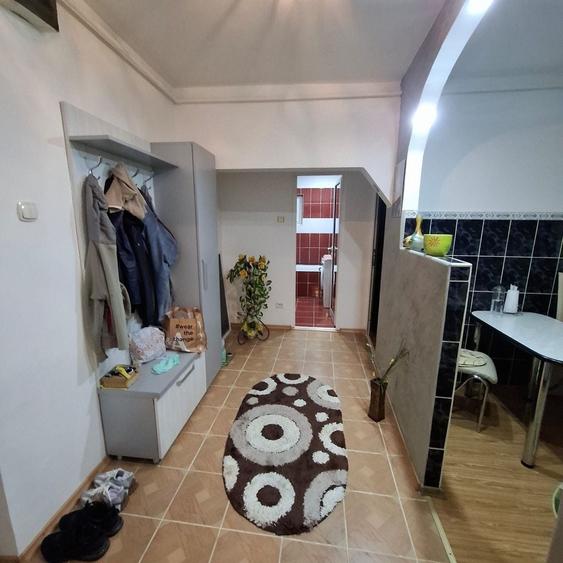 Apartament cu 2 camere decomandat în Paltin