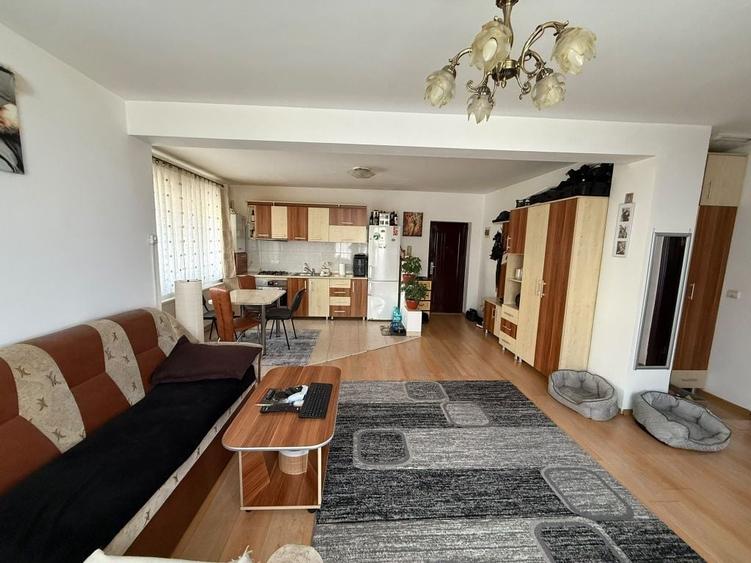 Apartament cu 2 camere decomandat în Viișoara