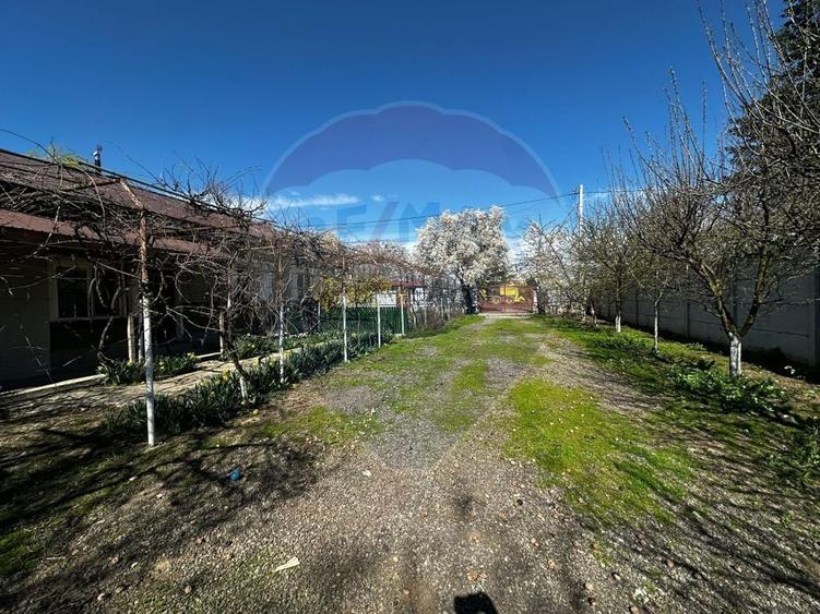 Casă cu 3 camere cu Teren 1000 Mp în Bâldana