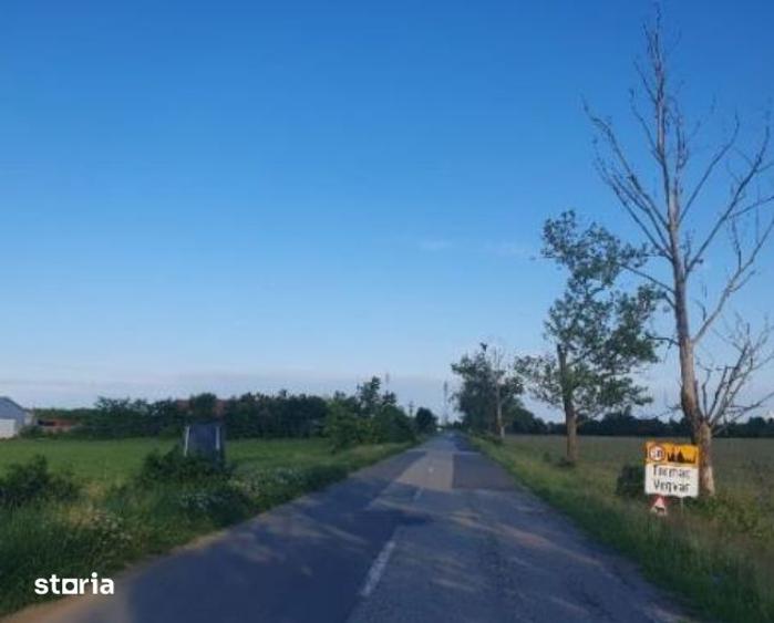 Teren de 317 mp, în Tormac