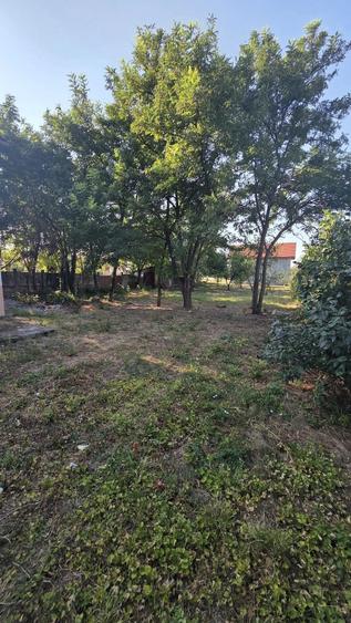 Casă cu 4 camere cu Teren 1500 Mp în Satchinez